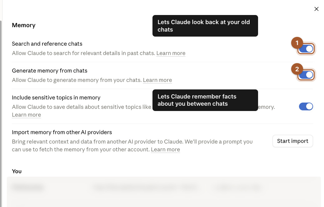 The Memory settings page with the switches for searching past chats and generating memory from chats marked.