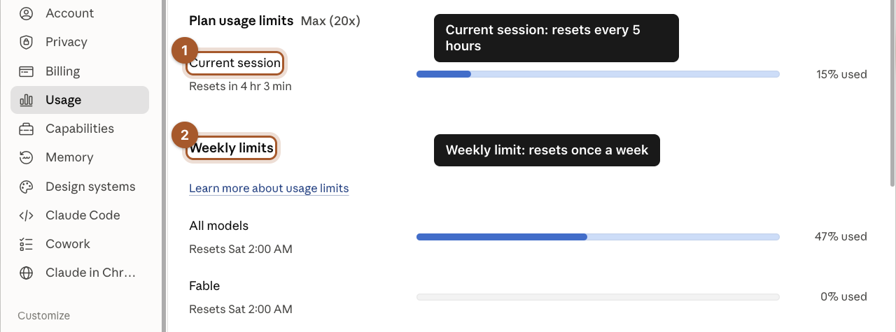 The Usage page in Settings, showing progress bars for the current session and the week.