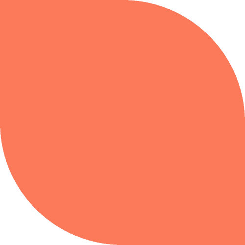 Brand Graphic - Leaf Orange