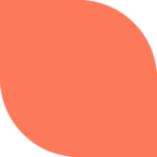 Brand Graphic - Leaf Orange